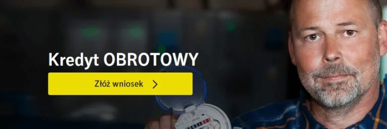 Kredyt obrotowy Idea Banku