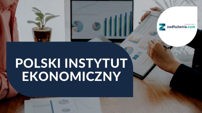 Polski Instytut Ekonomiczny – czym się zajmuje?