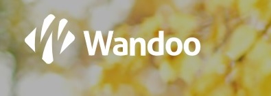 Wandoo - druga/kolejna pożyczka