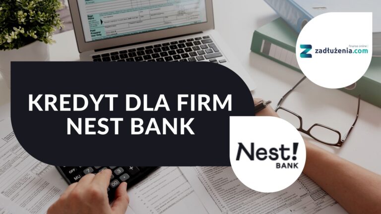 Kredyt dla firm Nest Bank – opinie