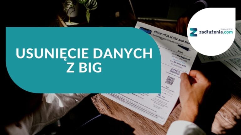 Usunięcie danych z BIG