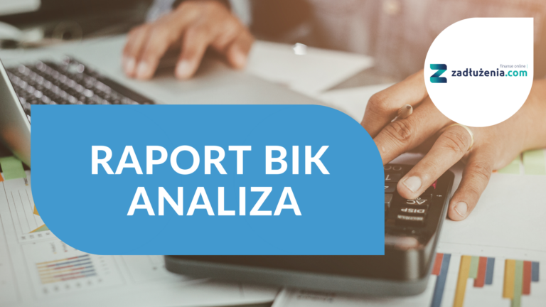 Raport BIK – analiza