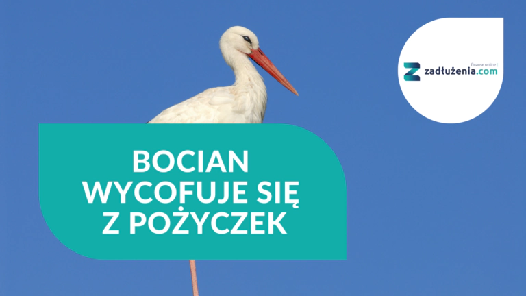 Bocian Pożyczki wycofuje się z chwilówek. Co dalej?